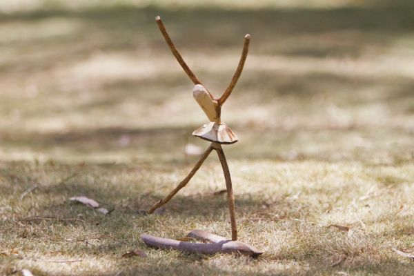 O artista diz encontrar nas formas dadas pela natureza as peças que esculpirá