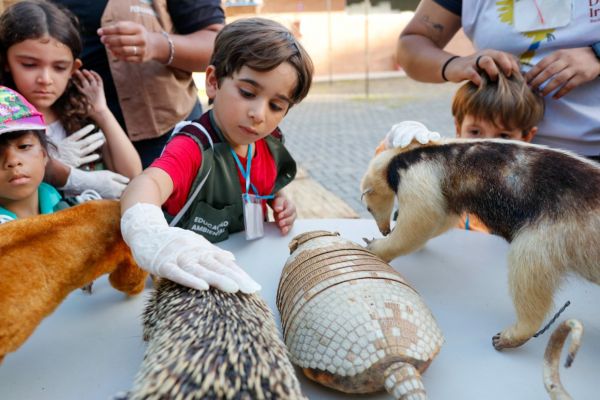Crianças aprendem sobre a fauna no Parque Dois Irmãos. Foto: Juliana Barreto