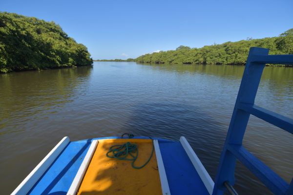 Passeio de jangada pelo estuário do Rio Una leva ao manguezal, ao istmo e a praias. Foto: Leopoldo Conrado Nunes/Cepe