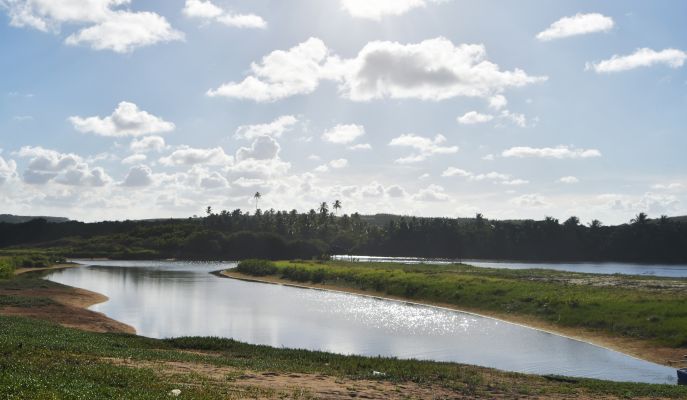 O estuário do Rio Una abriga mangue-vermelho, mangue-preto e mangue-branco, mangue-de-botão, avencão e algodoeiro-da-praia. Foto: Leopoldo Conrado Nunes/Cepe