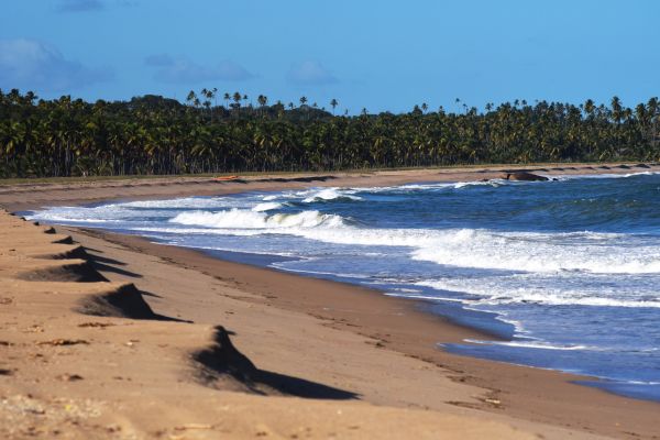Praia de Várzea do Una é um dos destinos próximo ao istmo. Foto: Leopoldo Conrado Nunes/Cepe