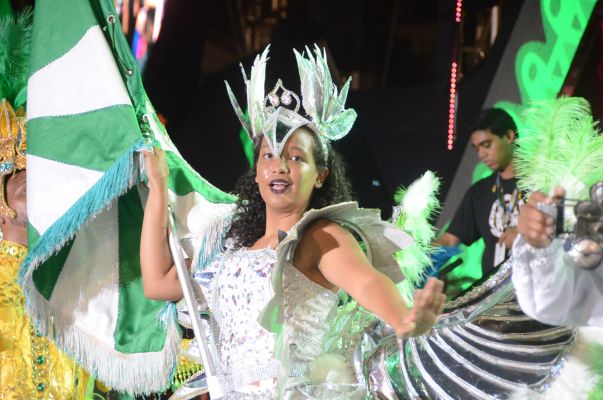 Gigante do Samba na avenida. Foto: Wesley d'Almeida/PCR