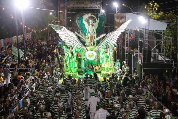 Gigante do Samba na avenida. Foto: Wesley d'Almeida/PCR