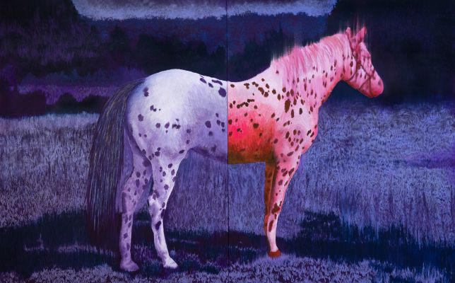 O estrangeiro (2026) óleo sobre tela