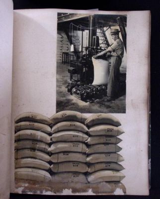 A fotógrafa desembarcou no Brasil em 1941, no Rio de Janeiro, e viveu no Recife.