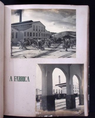 Os pesquisadores que investigam as histórias por trás das fotos pretendem publicar o álbum em livro.