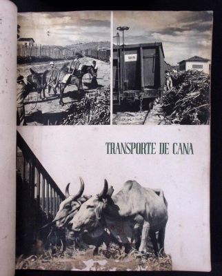 O álbum foi produzido num período de transição do trabalho mecânico para um trabalho semiautomatizado.