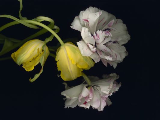 Stockage, de Luzia Simons