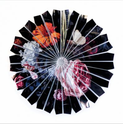 Natureza Bela Morta e do Lar