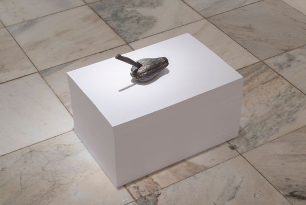 Bússola, de Nydia Negromonte