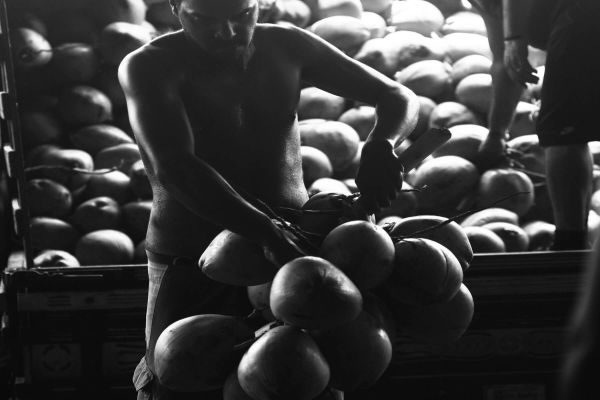 Foto: Leopoldo Conrado Nunes