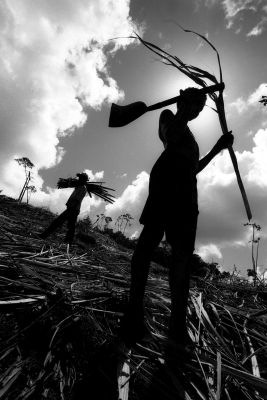 Foto: Leopoldo Conrado Nunes