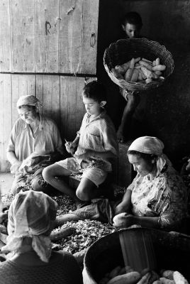 Foto: Leopoldo Conrado Nunes