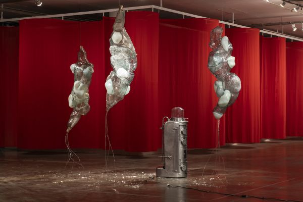 Instalação de Berenice Olmedo. Foto: Levi Fanan/Divulgação