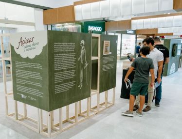 Inspirada em Gilberto Freyre, exposição faz imersão na cultura nordestina