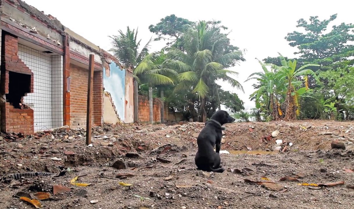 Em 'Se essa vila não fosse minha', Felipe Sena registra remoção dos moradores da Vila Autódromo