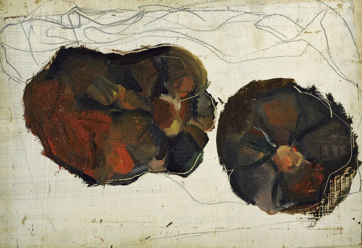 Óleo sobre Eucatex, 24,5 x 35,5 cm, 1970. O oiticoró mede de 10 a 12 cm de comprimento, por aí