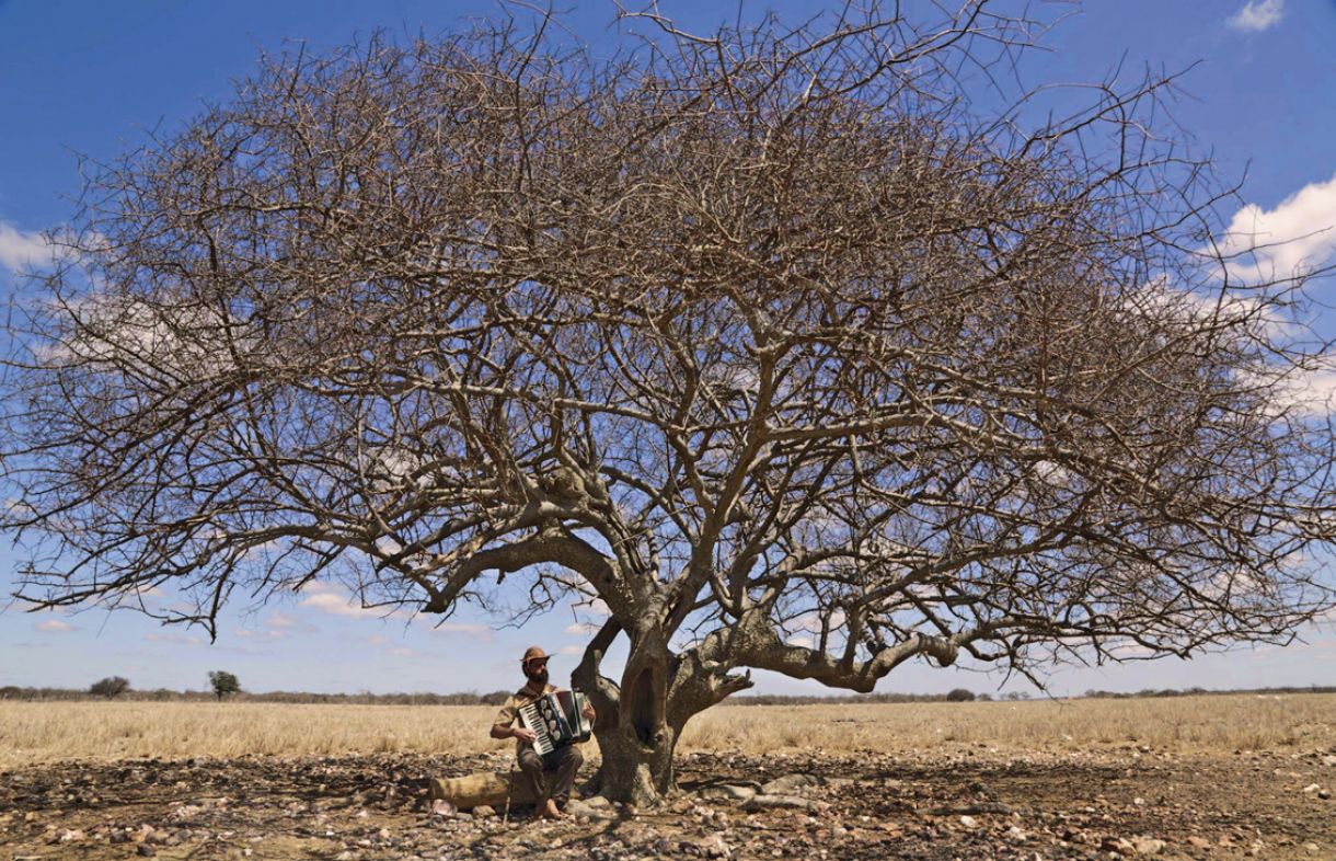 O chão rachado, as árvores secas e o horizonte têm papel central na trama