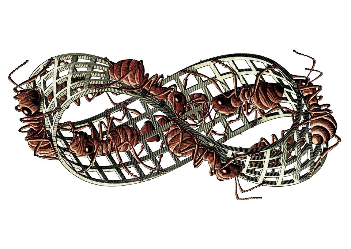 A figura topográfica da Fita de Moebius serve tanto à arte contemporânea quanto ao ensino