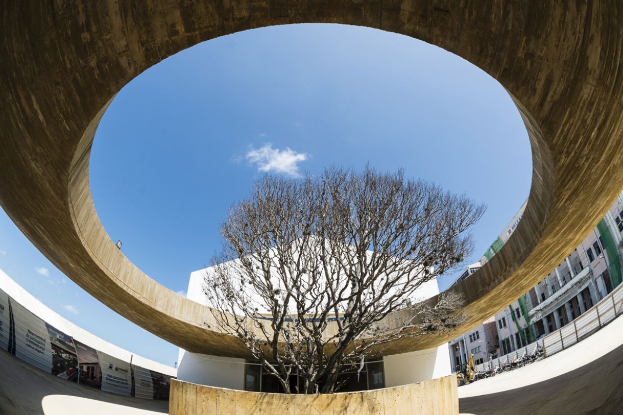 Na entrada, foi projetado um espaço de acolhimento e convivência onde foi plantado um juazeiro, típica árvore da caatinga