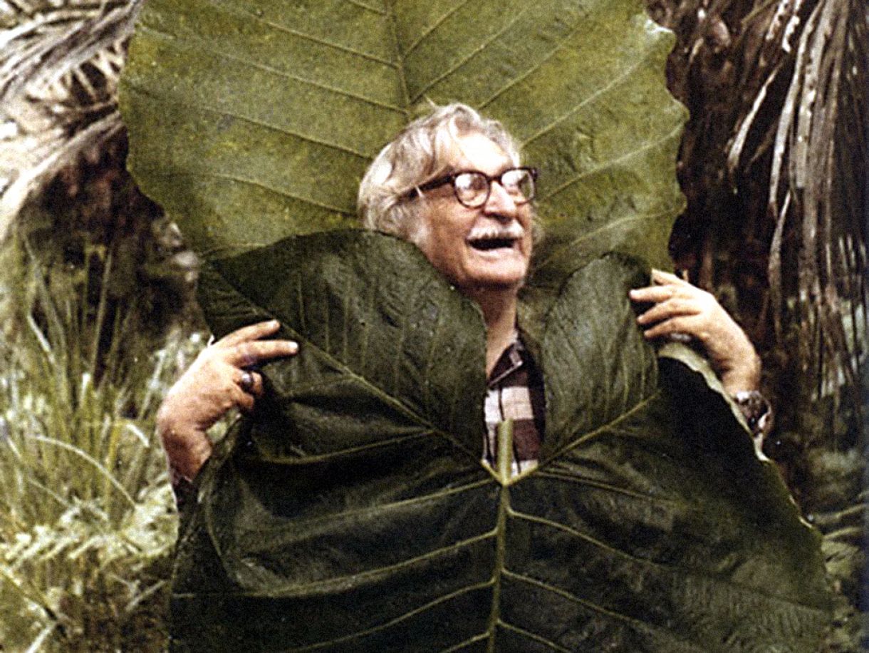 Burle Marx é inspiração para oficina. 