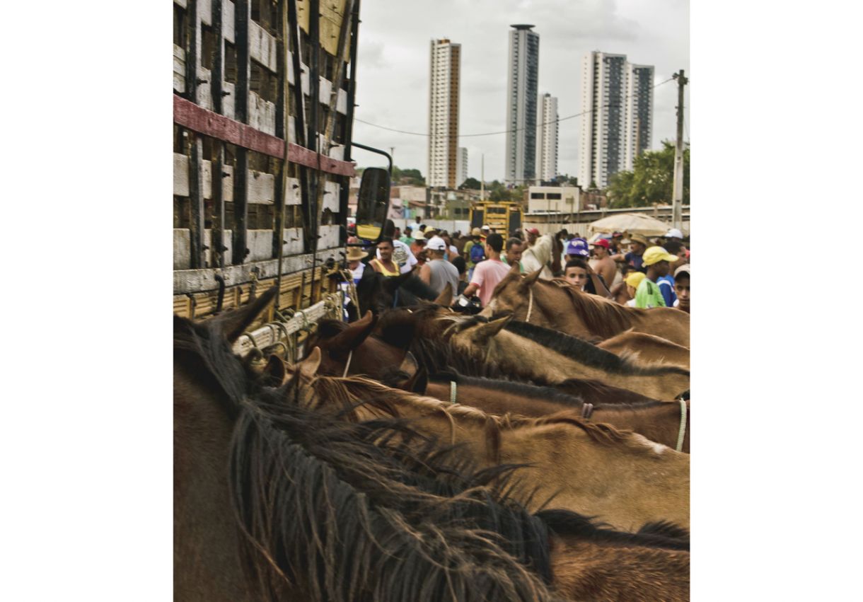 Todos os sábados, carroceiros e criadores se reúnem na Feira do Troca de Animais, montada nas proximidades do Parque do Caiara