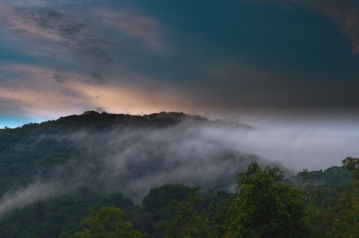 Vista do ponto mais alto do Inhotim, em Brumadinho, Minas Gerais