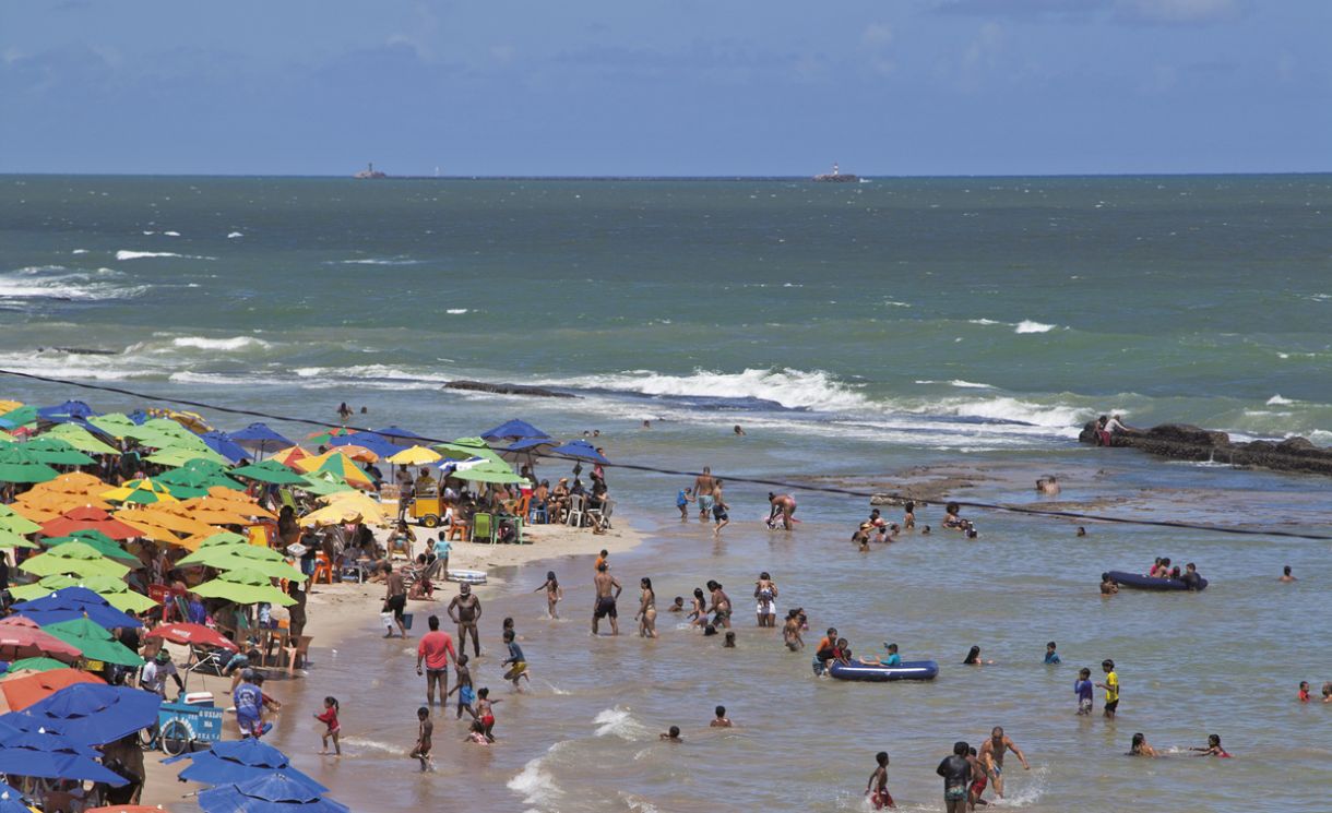 VÍDEO: milhares de águas-vivas surgem na orla da Praia do