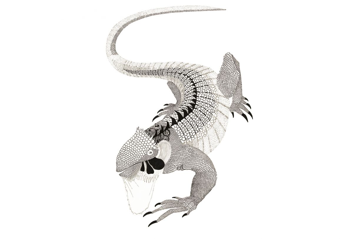 O sinimbu, espécie de iguana, é uma das ilustrações presentes no livro (1961, nanquim, 50 x 35 cm)