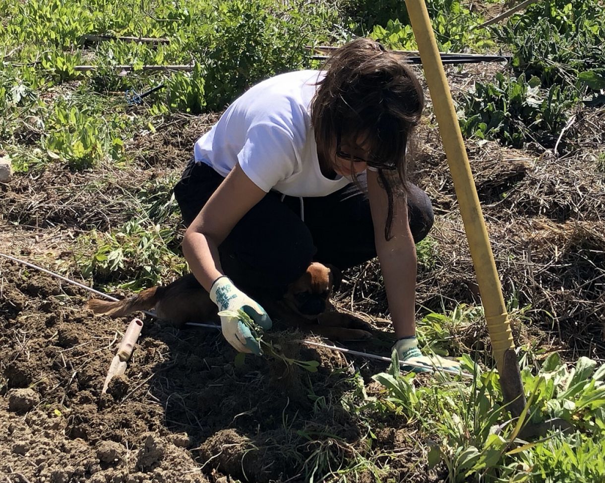 Bárbara Buril na fazenda Frutti D’Oro, na Itália