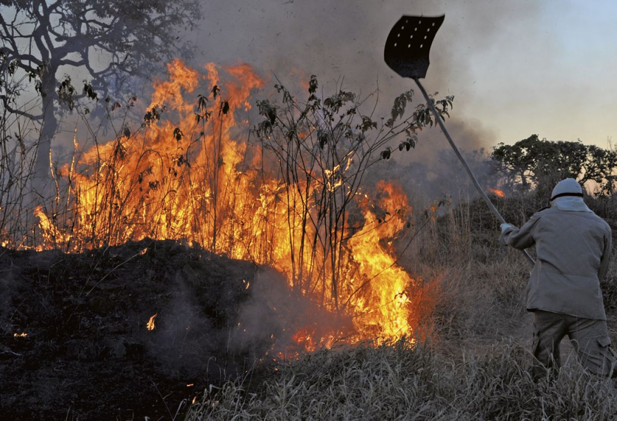 Negacionismo ambiental ignora destruição florestal através de desmatamento e queimadas 