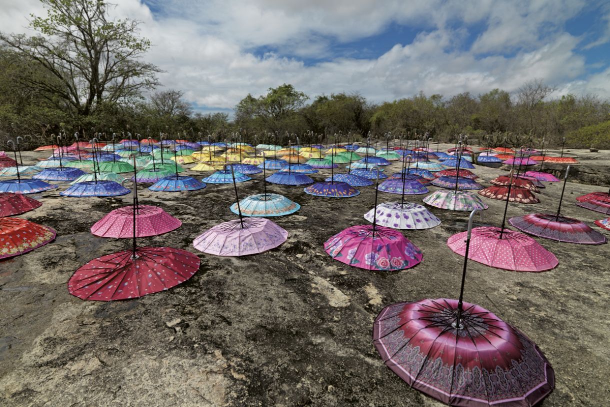 'Tutti-frutti colônia', da série 'Bicho da seda'. Impressão fotográfica 90 x 120 cm, 2015