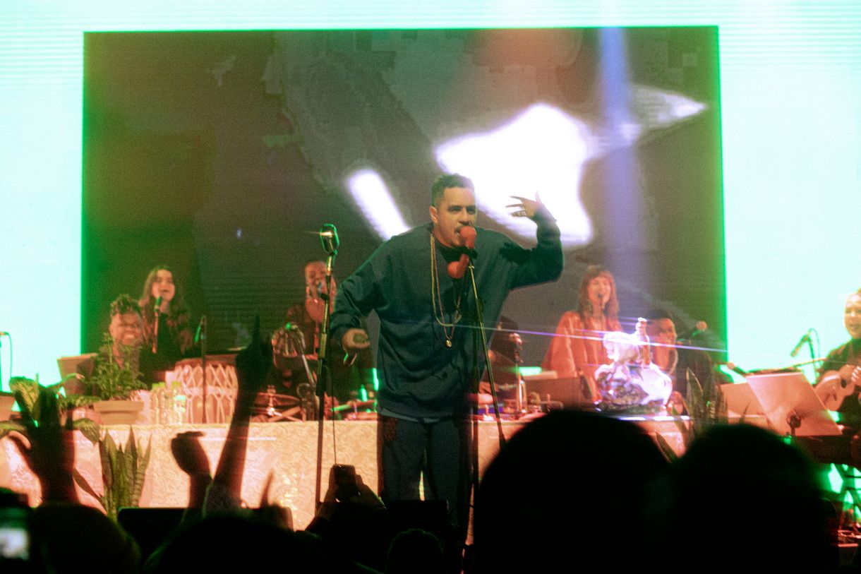 Show de Marcelo D2, em São Paulo, em junho de 2023