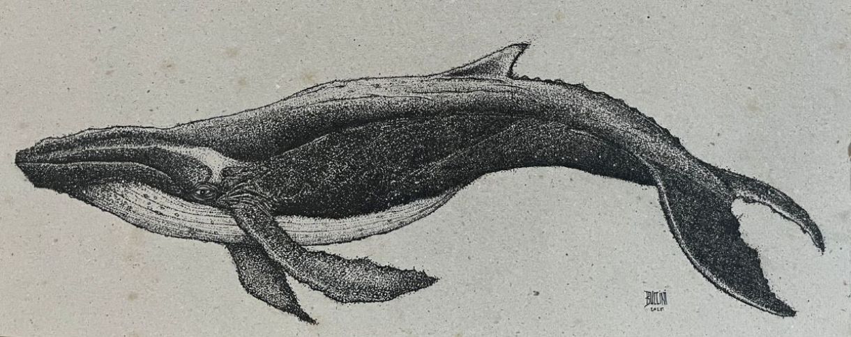 Obra de Marcos Buccini