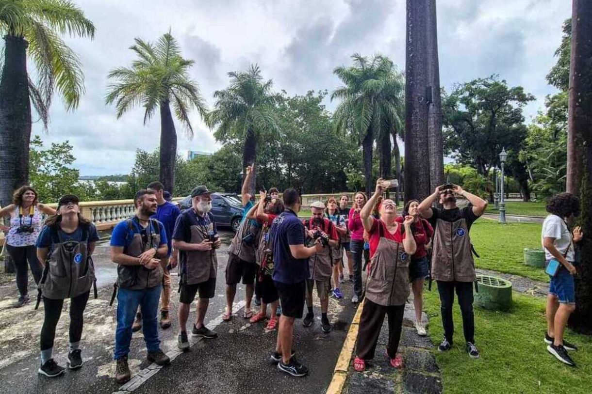 Observadores de aves participam do quinto Vem Passarinhar Recife na Praça da República 