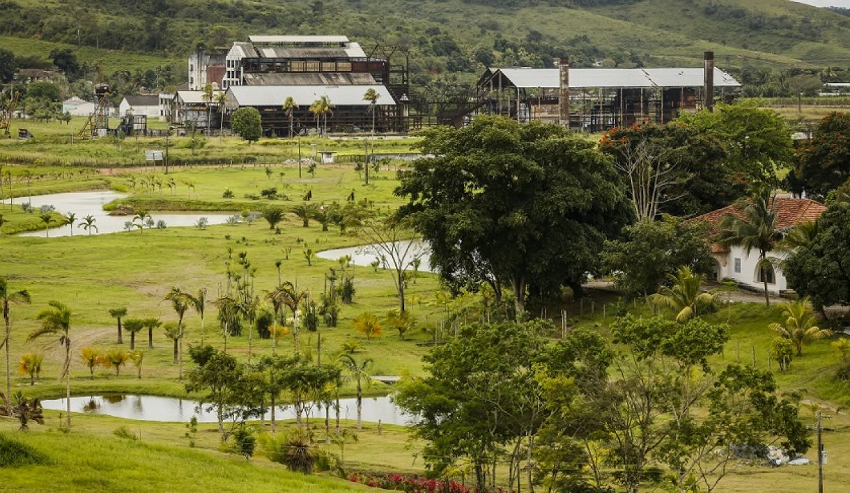 A Usina Santa Terezinha se transforma em espaço de arte, sustentabilidade e inclusão social