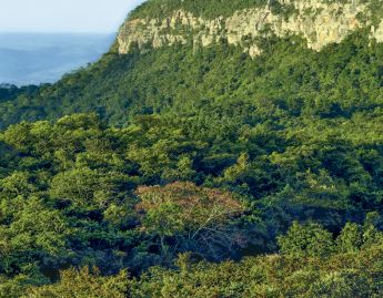 Chapada do Araripe