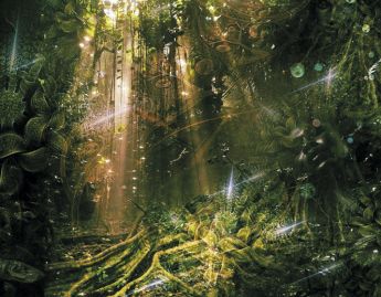Ayahuaska