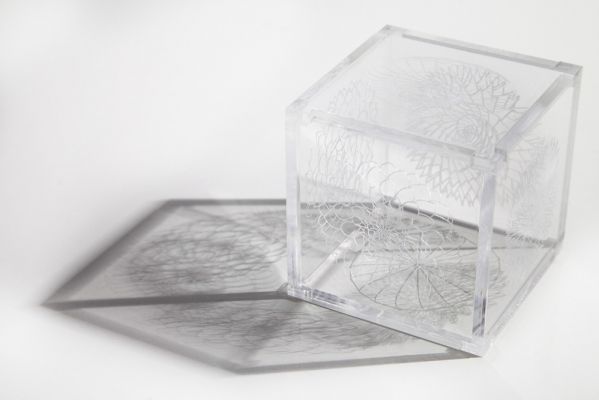 'Simbiose (versão II)' (2014), da série 'Animais simbióticos'. Cubo cristal desmontável em seis faces de acrílico recortado e gravado a laser, 7 x 7 x 7 cm. Por Flora Assumpção