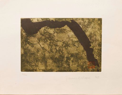 Gravura de Tomie Ohtake. Foto: Aurélio Velho